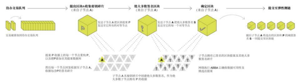 弹性 사이드 체인 네트워크 SKALE: 기술 솔루션, 크로스 체인 브리지 및 토큰 경제에 대한 자세한 설명